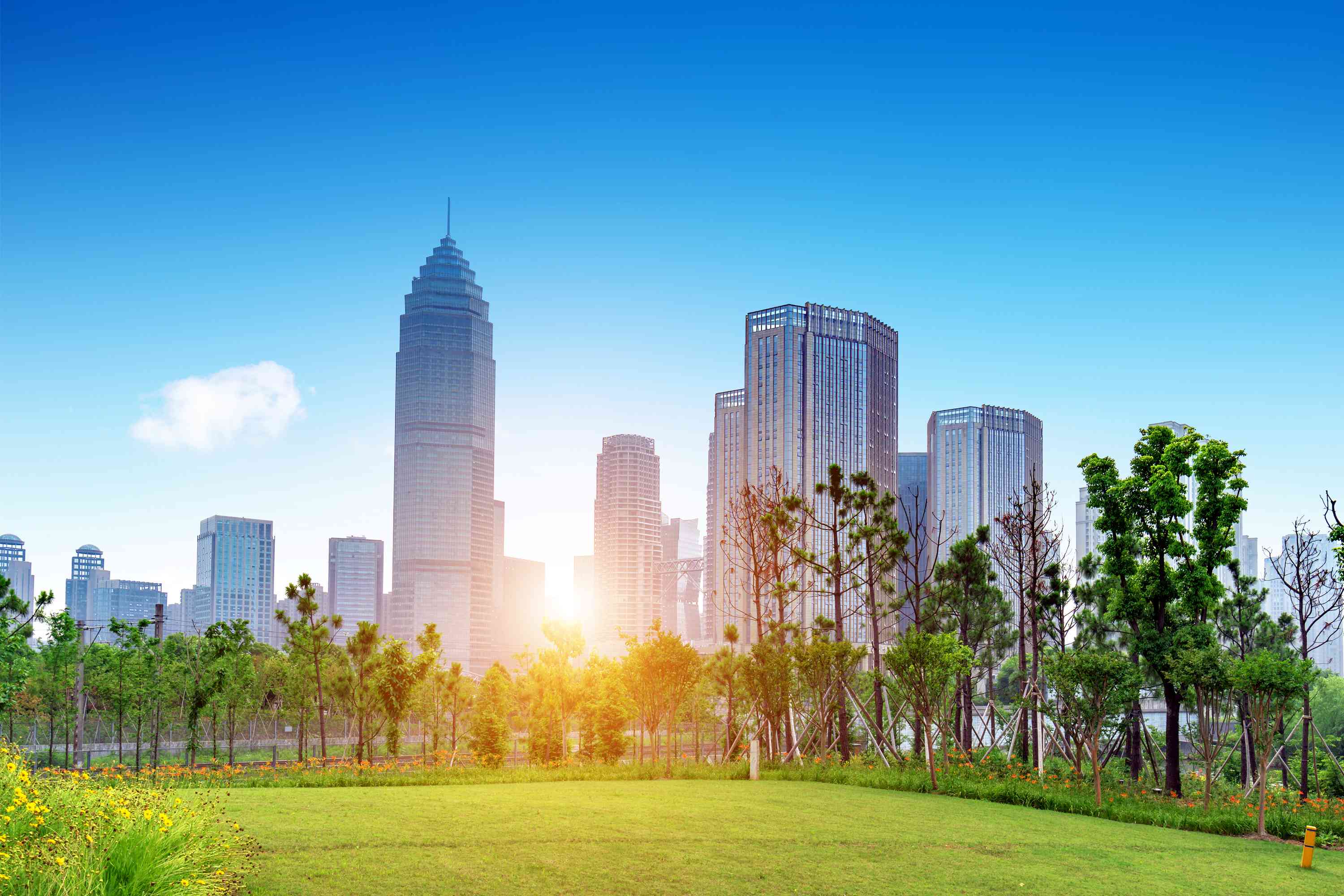 安心で快適な街づくりそれが私達の願いです。