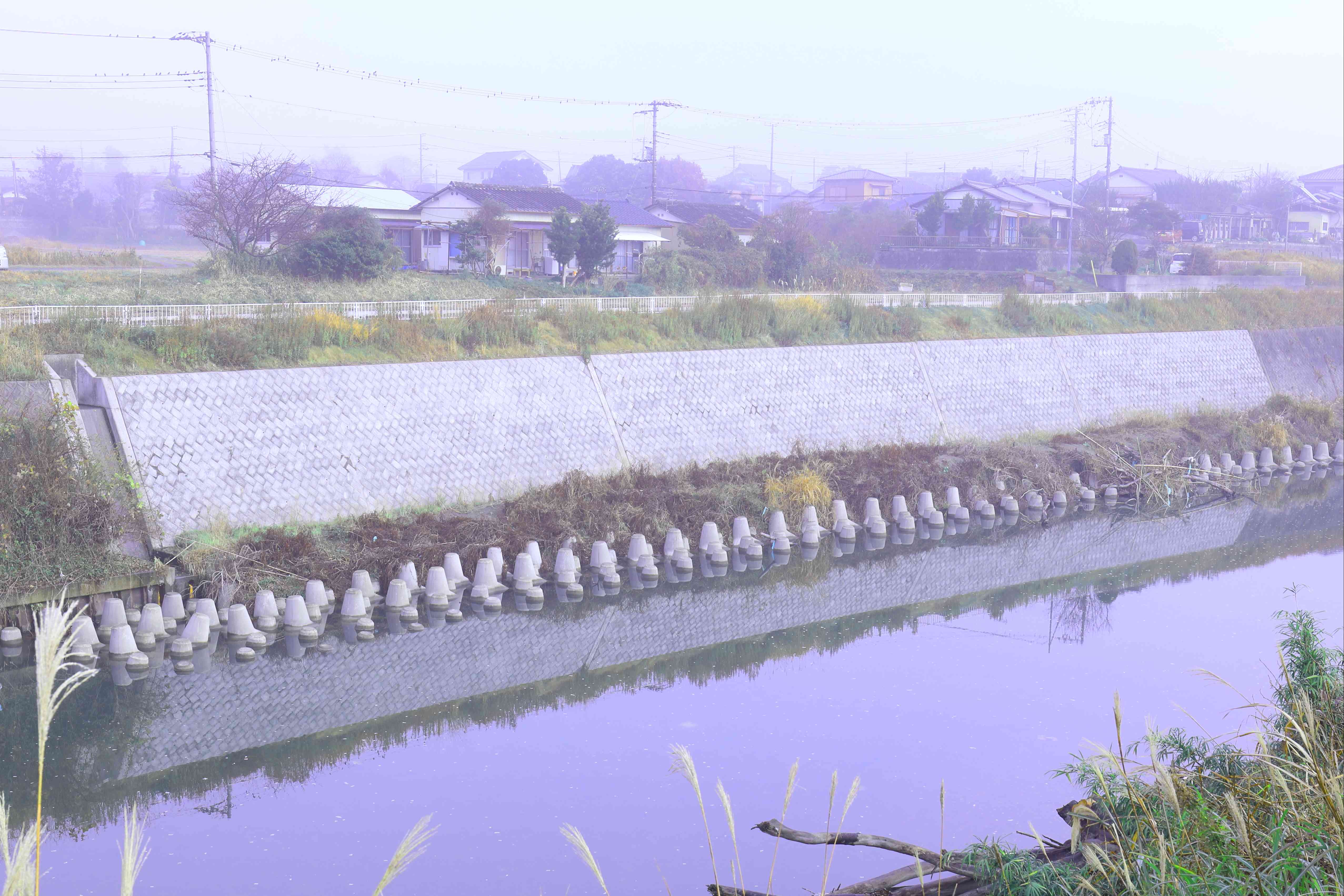 県単災害関連委託(望井外・護岸設計)